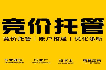 SEM竞价开户实操指南：经典案例解读